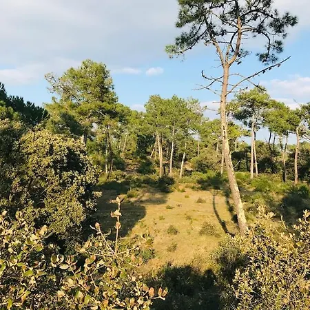 Maison De La Pinede, Acces Direct Foret Et Plage Notre-Dame-de-Monts Exterior photo